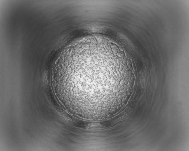 X0000072510410200607290137