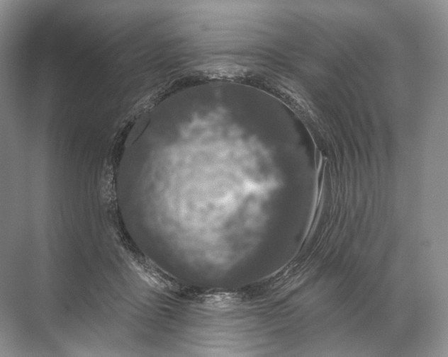 X0000072510411200607290137