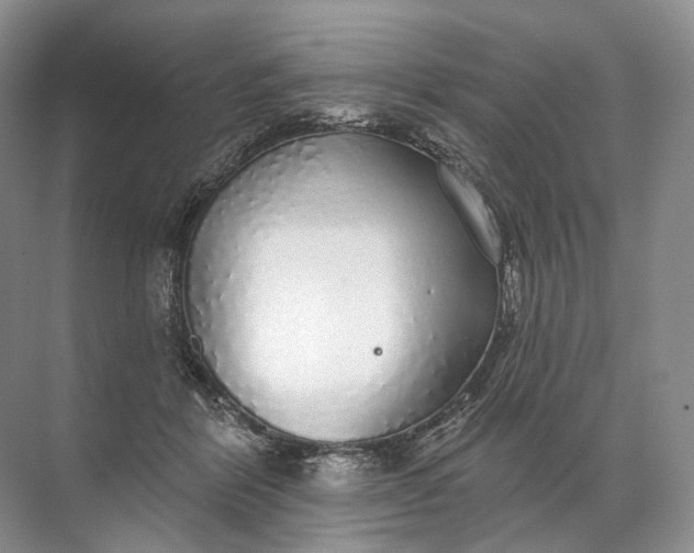 X0000072510412200607290137