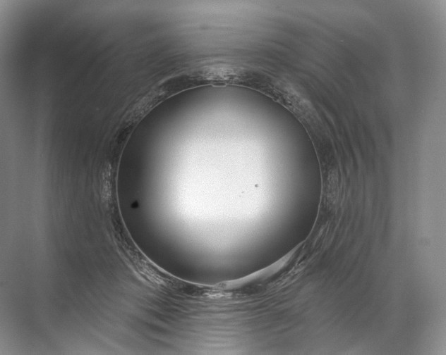 X0000072510413200607290137