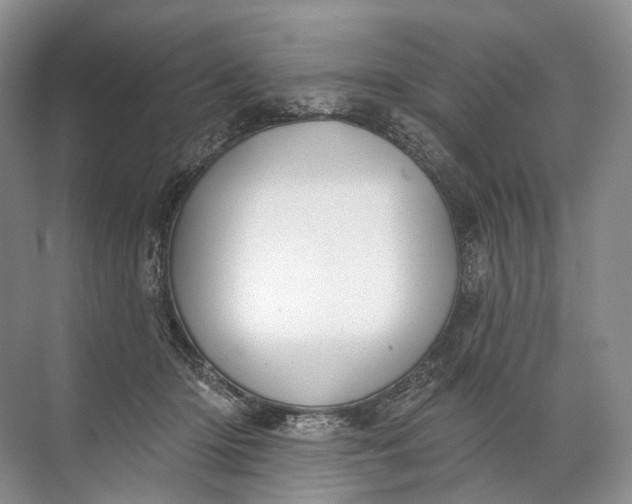 X0000072510414200607290137