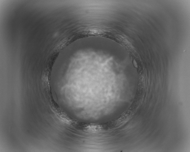 X0000072510415200607290137