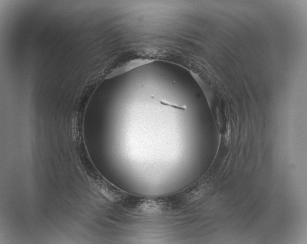 X0000072510416200607290137