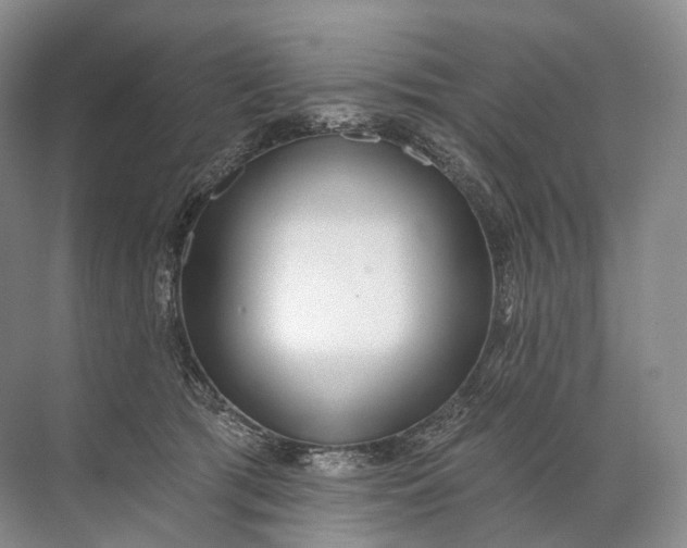 X0000072510417200607290137