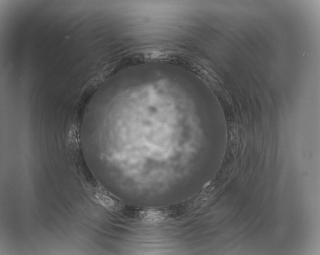 X0000072510419200607290137