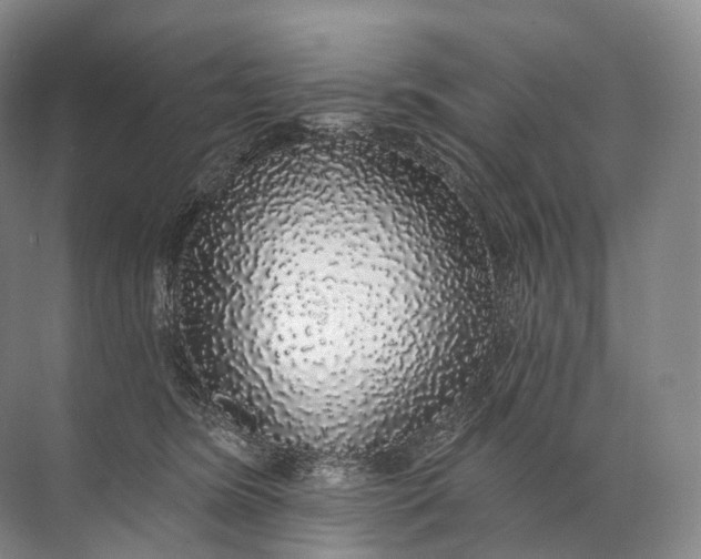 X0000072510420200607290137