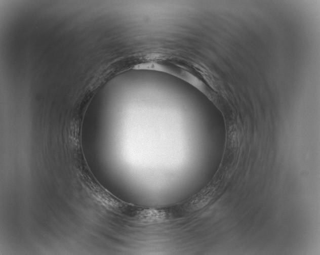 X0000072510421200607290137