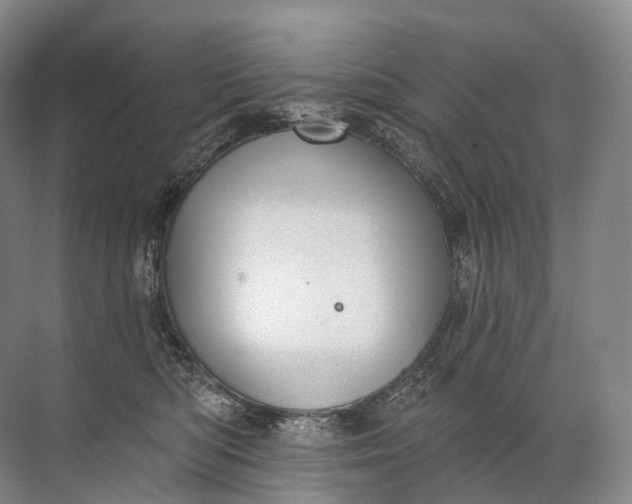 X0000072510422200607290137