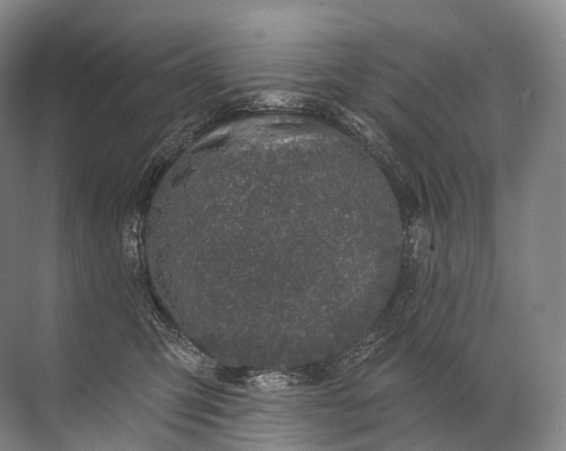 X0000072510423200607290137