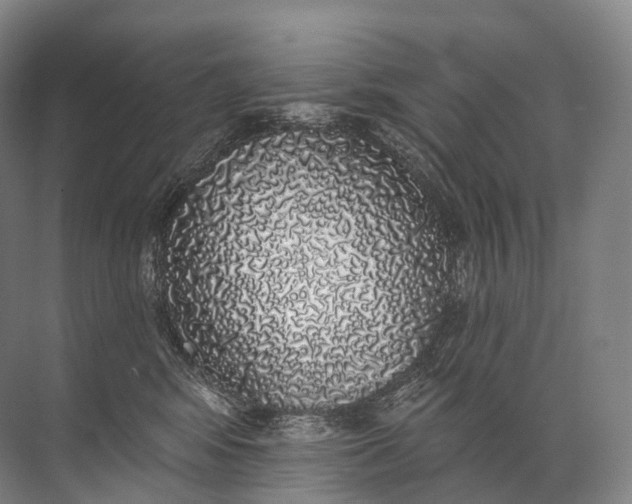 X0000072510424200607290137