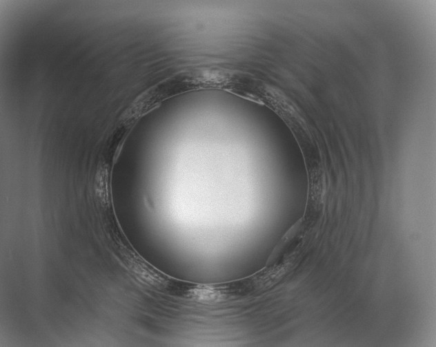 X0000072510425200607290137