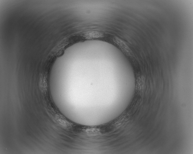 X0000072510426200607290137