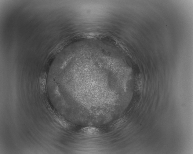 X0000072510427200607290137