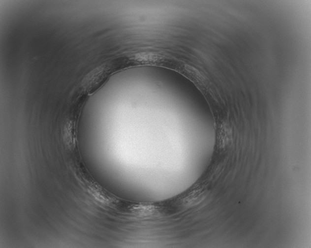 X0000072510428200607290137