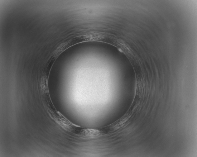 X0000072510429200607290137