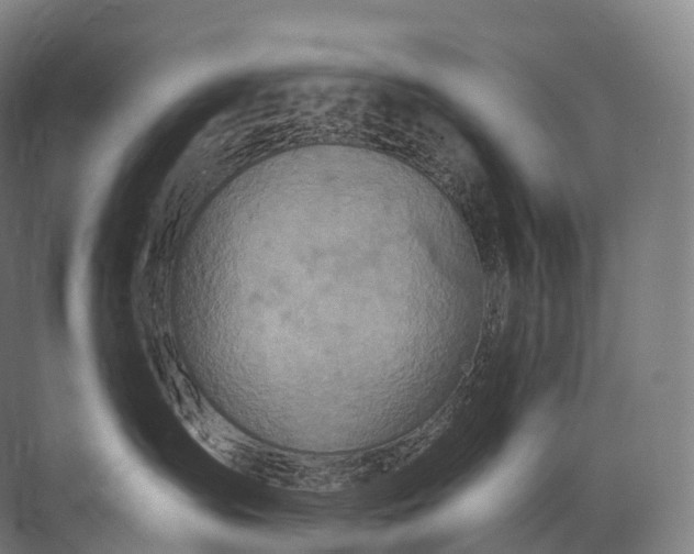 X0000072510431200607290137