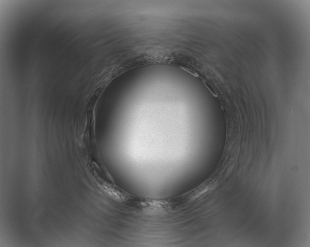 X0000072510432200607290137