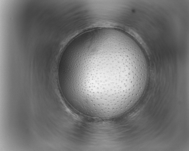 X0000072510433200607290136