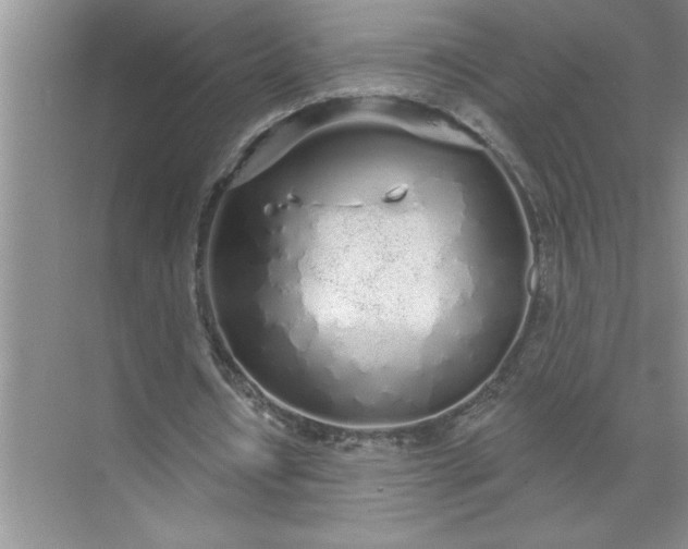 X0000072510434200607290136