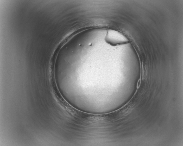 X0000072510435200607290136