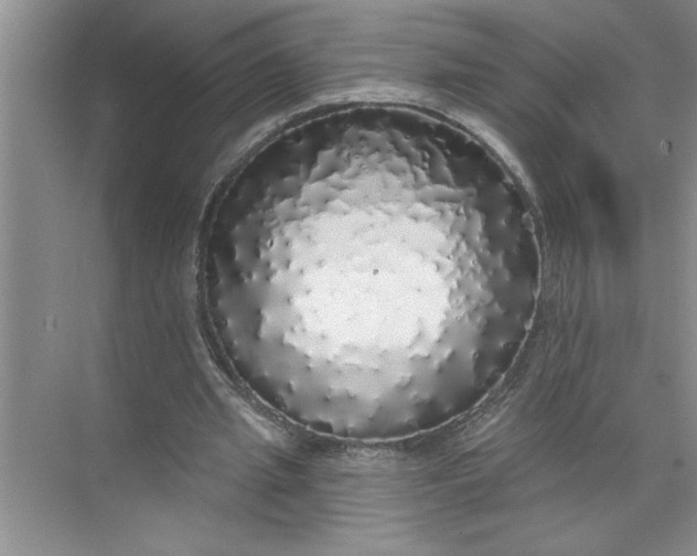 X0000072510437200607290136