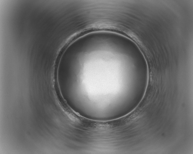 X0000072510438200607290136