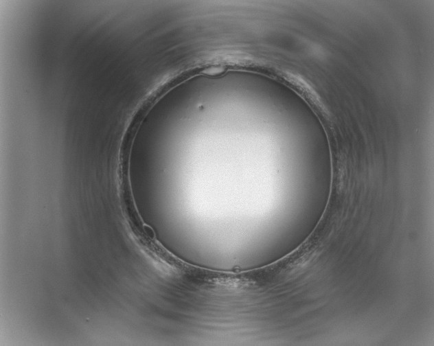 X0000072510439200607290136