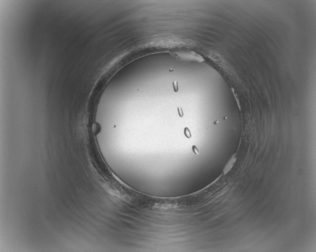 X0000072510440200607290136