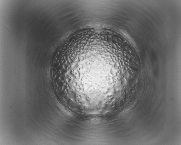 X0000072510441200607290136