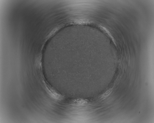 X0000072510443200607290136