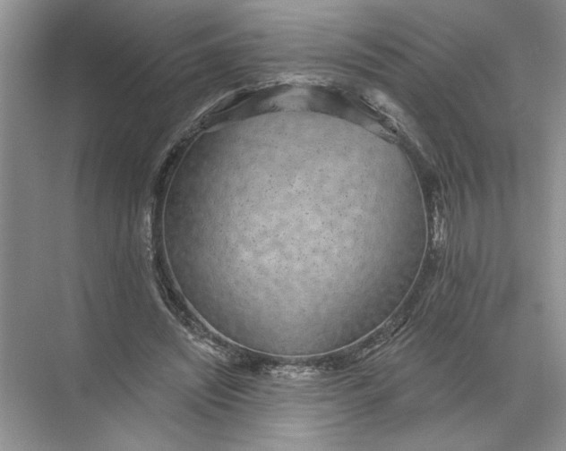 X0000072510444200607290136