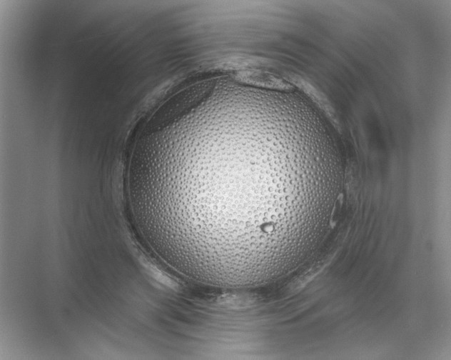 X0000072510445200607290136