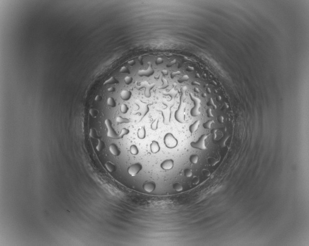 X0000072510446200607290136