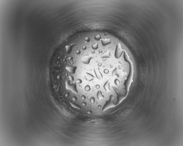 X0000072510447200607290136