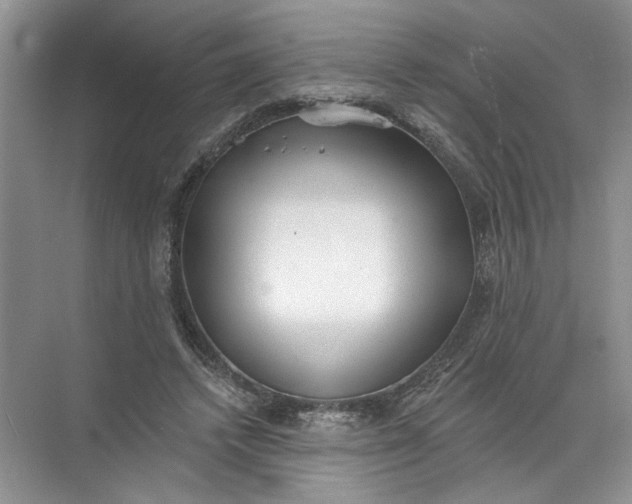 X0000072510448200607290136