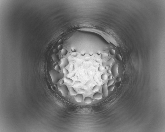 X0000072510449200607290137