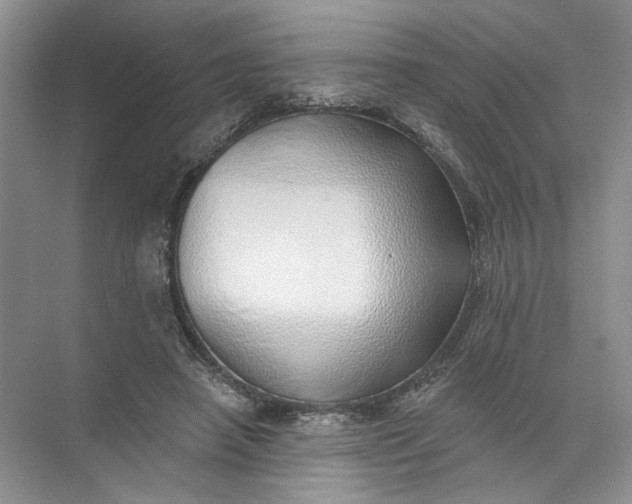 X0000072510450200607290137