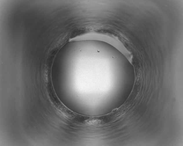 X0000072510452200607290137