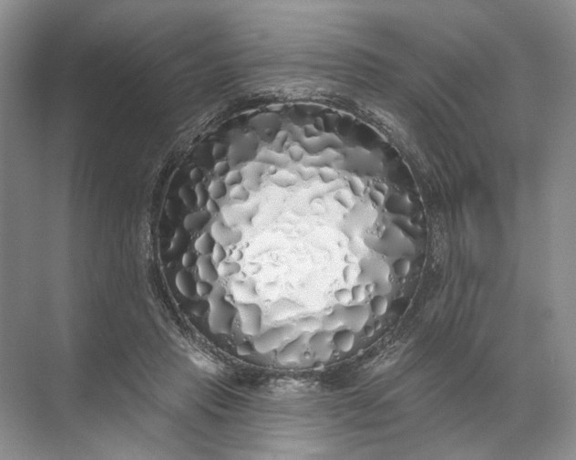 X0000072510453200607290137