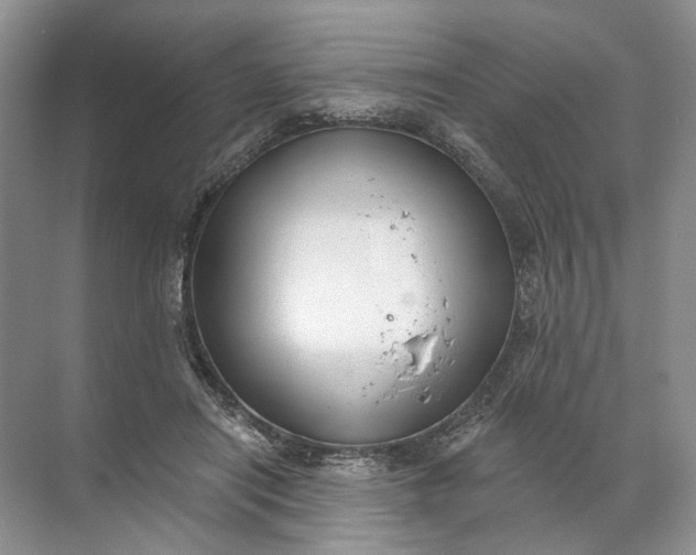 X0000072510454200607290137