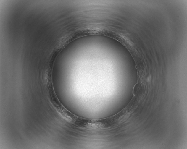 X0000072510455200607290137