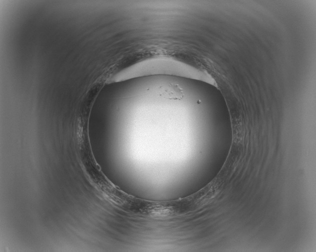 X0000072510456200607290137