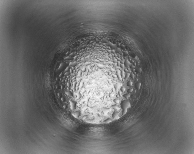 X0000072510457200607290137