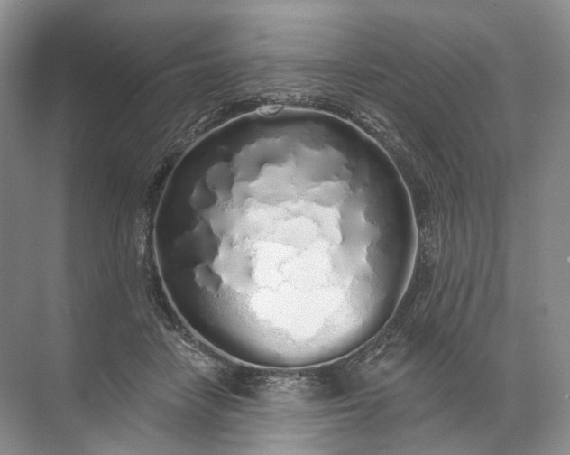 X0000072510458200607290137