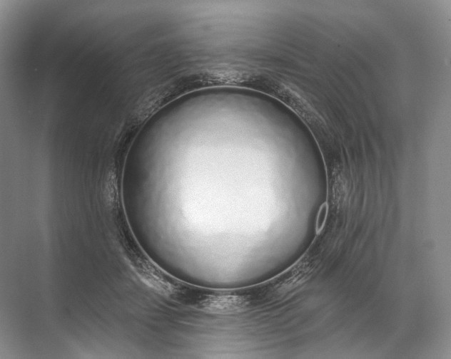 X0000072510459200607290137