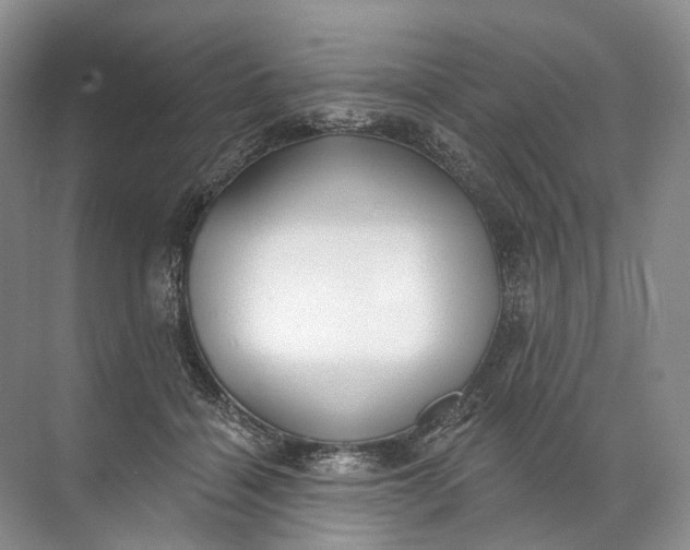 X0000072510460200607290137