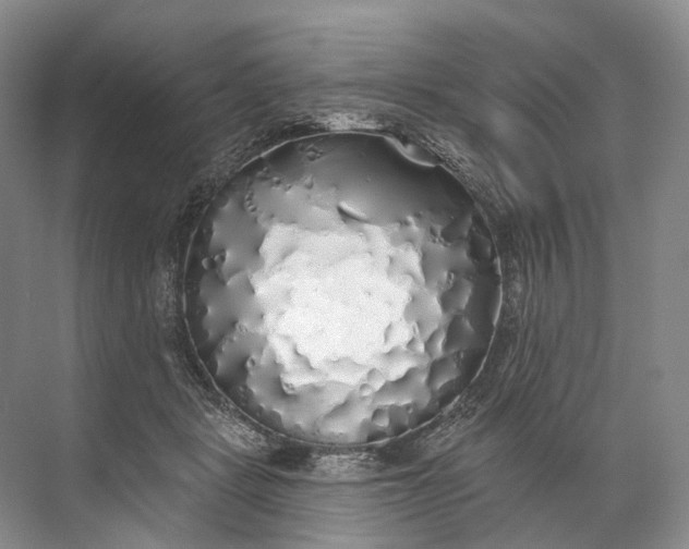 X0000072510461200607290137