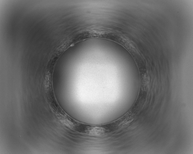 X0000072510463200607290137