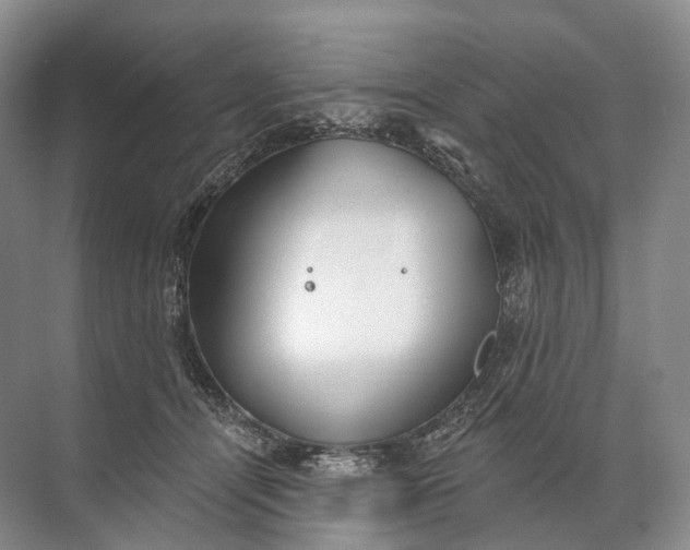 X0000072510464200607290137