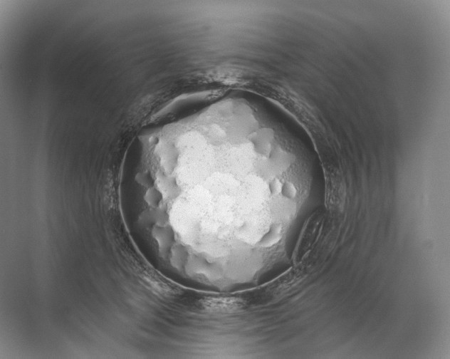 X0000072510465200607290137